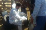 عملیات واکسیناسیون دام های سبک و سنگین علیه بیماری تب برفکی در شهرستان خوانسار و روستاهای تابعه اجرا گردید